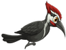 Blog Marino